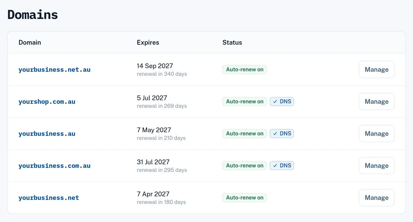 The domains list in the dashboard: expiry dates, auto-renew and DNS status for each domain